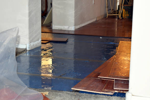 Professional Burst Pipe Cleanup technician working in Greenfield, MA